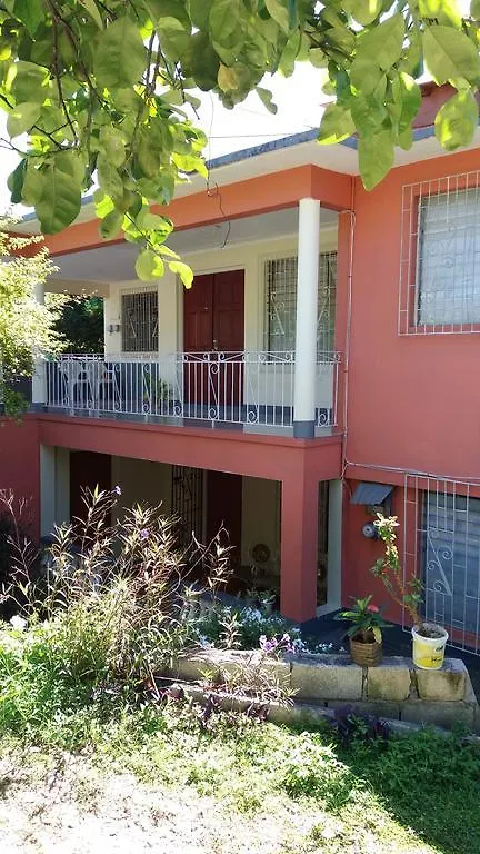 مونتيغو باي Dream Hostel